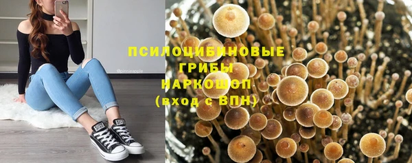 трава Абаза